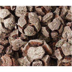 Dried Seedless Fruit Pods 150g Bag